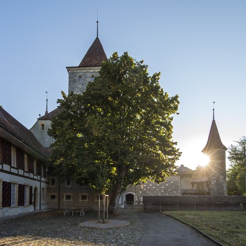 Der Tag erwacht beim Schloss. Vergrösserte Ansicht