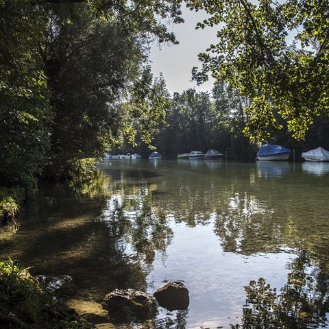 verträumter Zihl-Kanal. Vergrösserte Ansicht