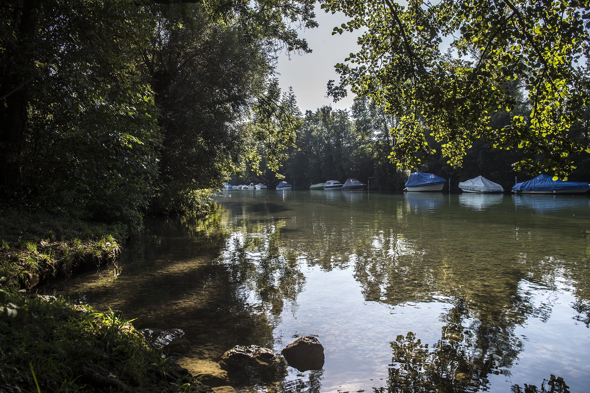 verträumter Zihl-Kanal