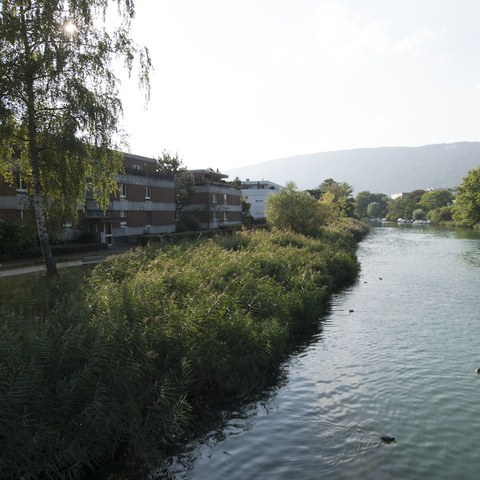 Aalmatten mit Zihlkanal. Vergrösserte Ansicht