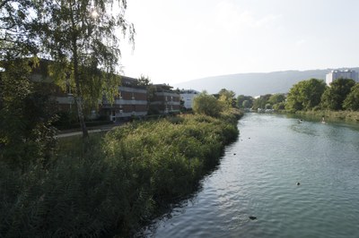 Aalmatten mit Zihlkanal