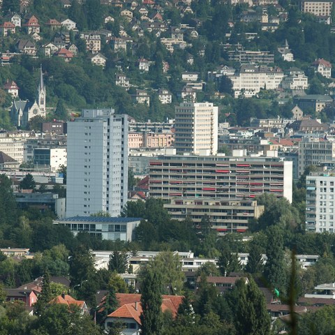 Weidteile. Vergrösserte Ansicht