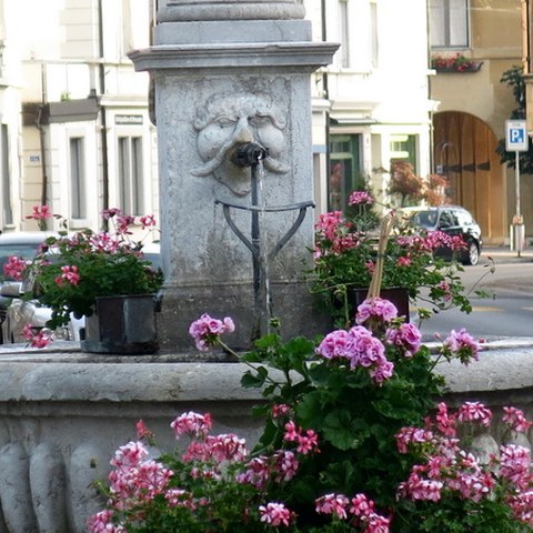 Brunnen und Blumen. Vergrösserte Ansicht