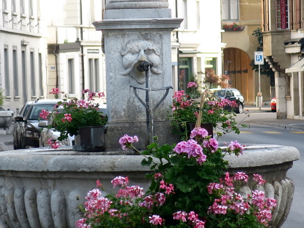 Brunnen und Blumen