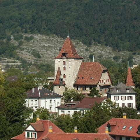 Schloss Nidau. Vergrösserte Ansicht