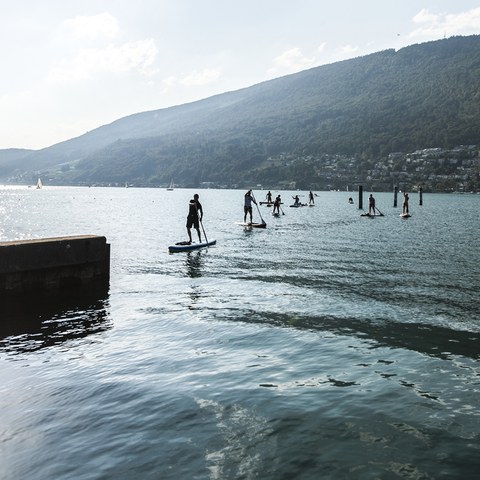 SU-Paddler. Vergrösserte Ansicht