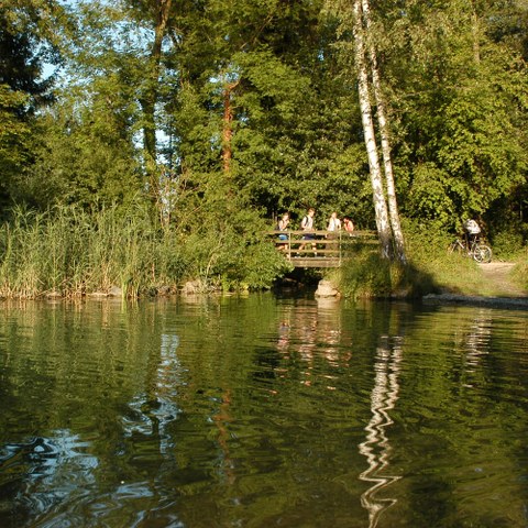 Seeufer Natur. Vergrösserte Ansicht