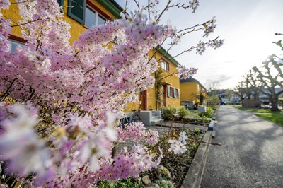 Frühling