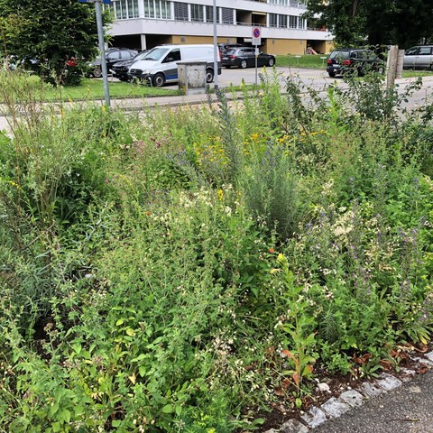 Blumenstreifen grün. Vergrösserte Ansicht