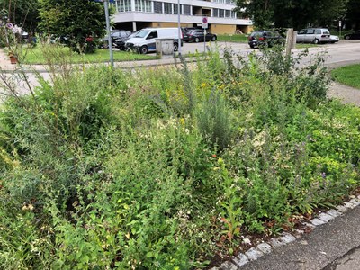 Blumenstreifen grün