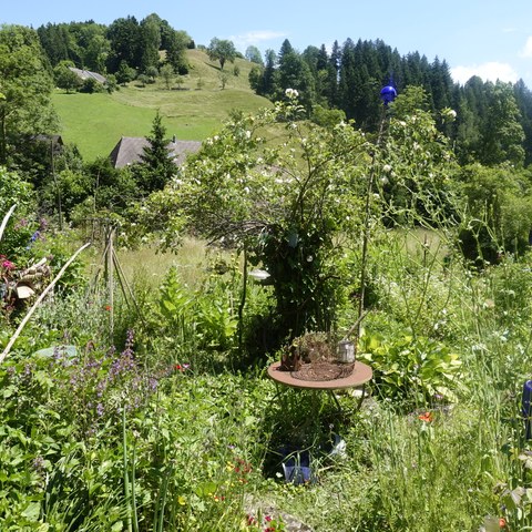 Wilder Garten - Bild: Fritz Berger. Vergrösserte Ansicht