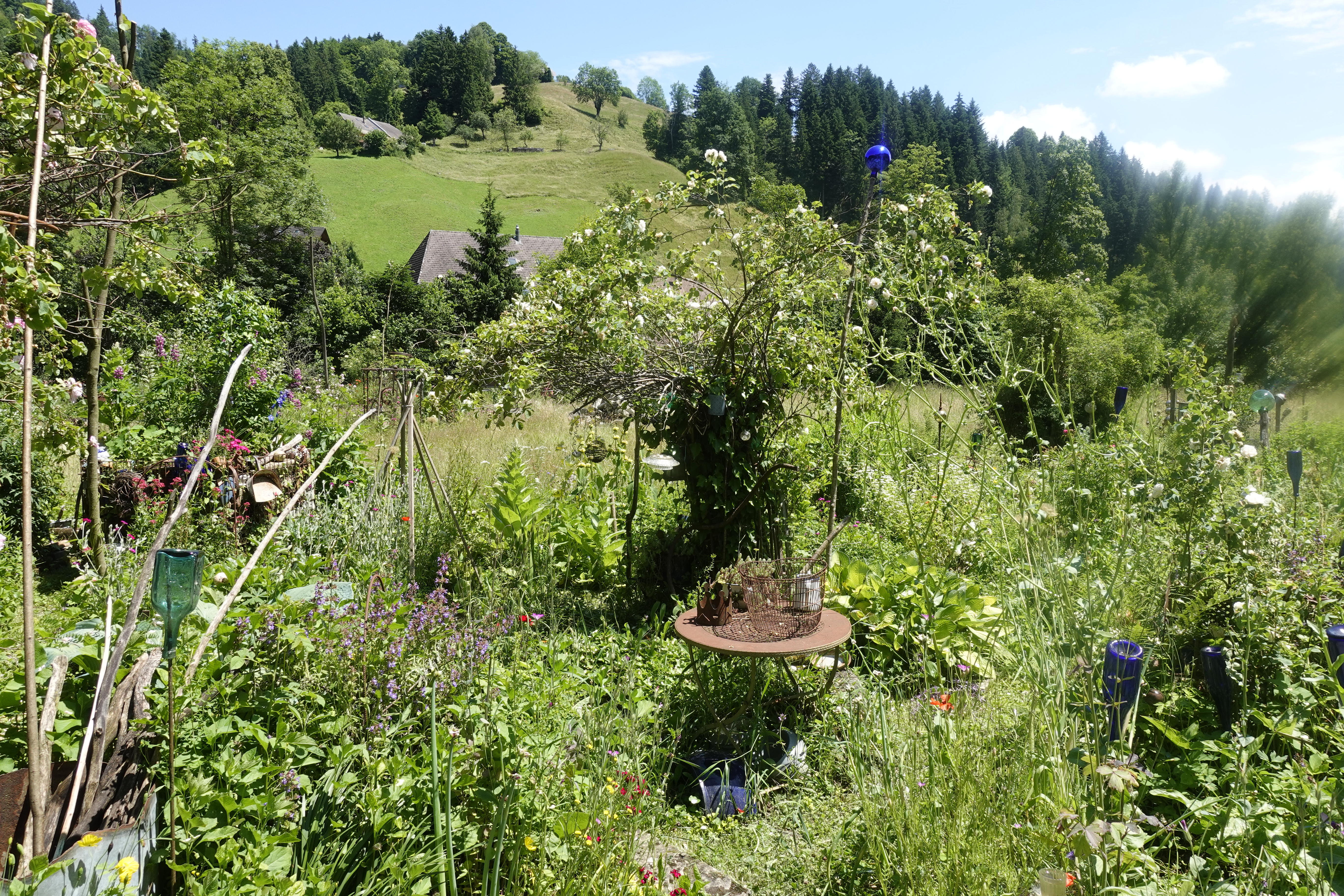 Wilder Garten - Bild: Fritz Berger