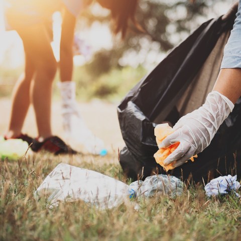 AdobeStock Littering 255992839. Vergrösserte Ansicht