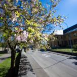 Schloss-Strasse